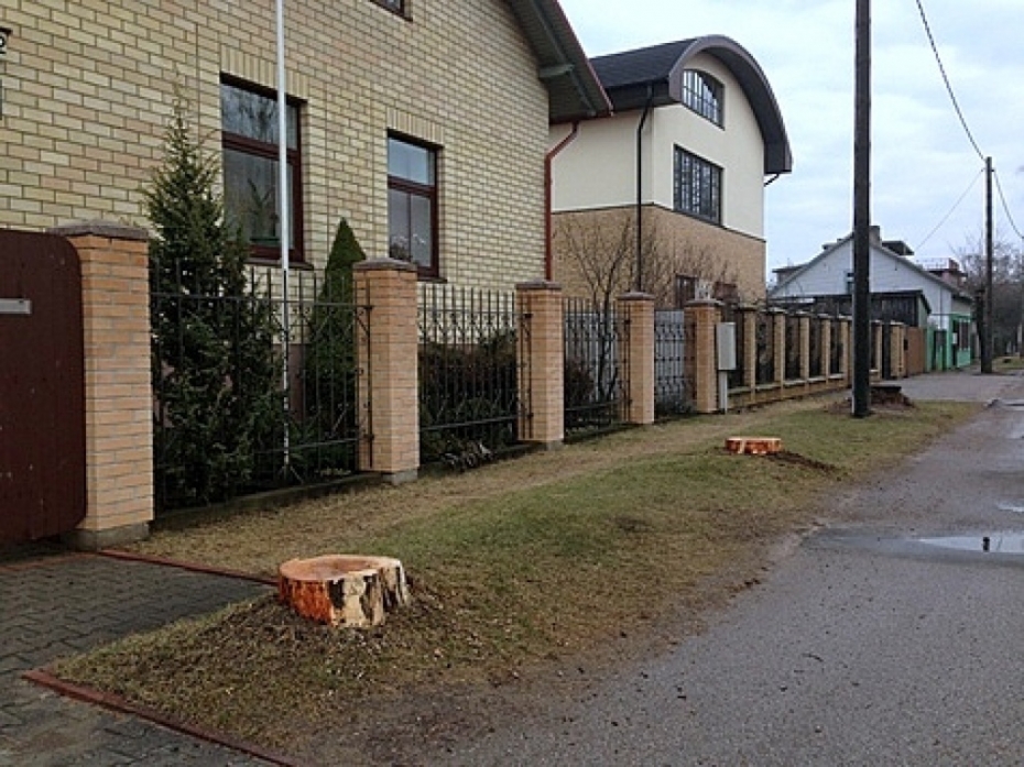 Bardaks koku ciršanas un apzāģēšanas saimniecībā