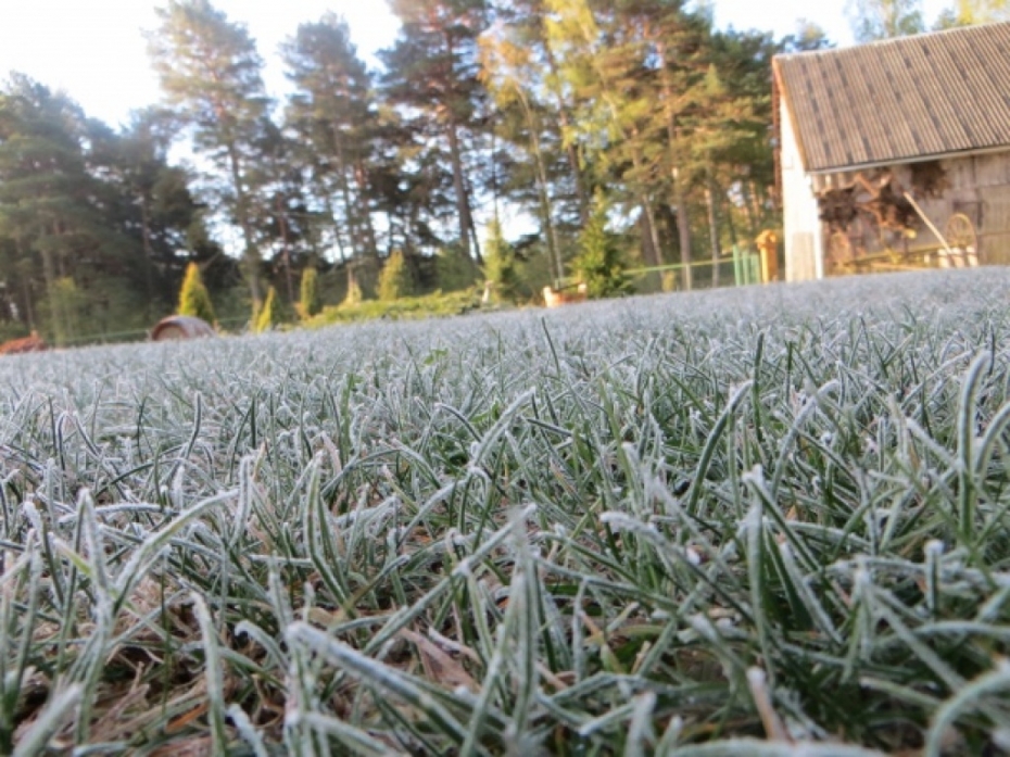 Aukstākā nakts aizvadīta Kurzemē. Liepājas lidostā pat mīnus 1