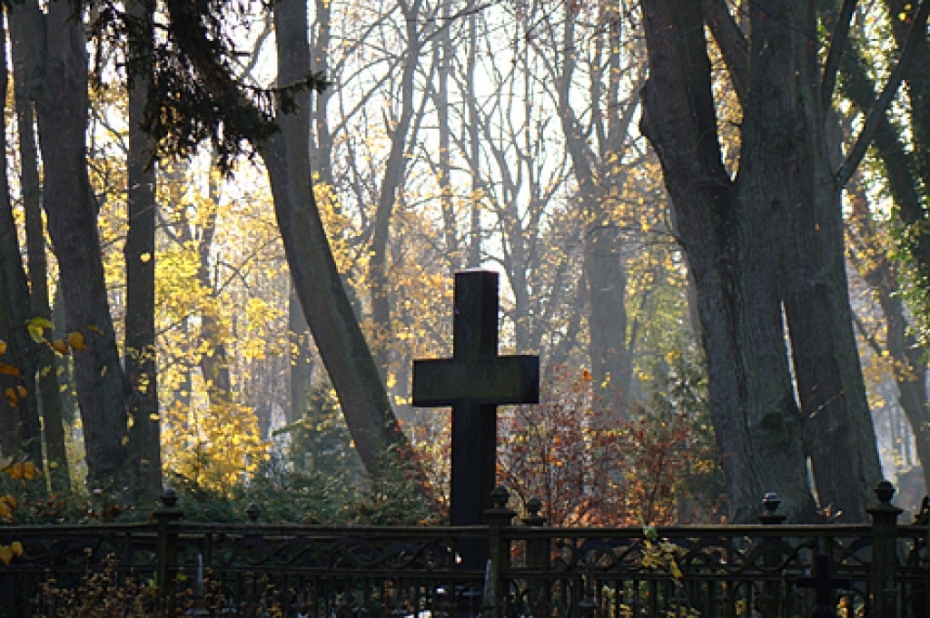 Sākas publiskā apspriešana par koku ciršanu Līvas kapsētā