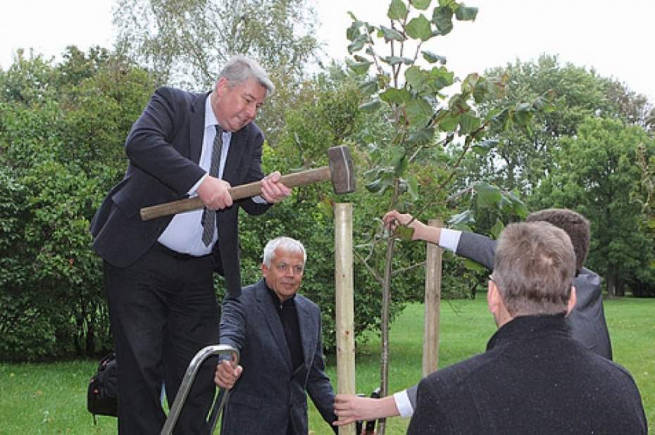 Jūrmalas parkā iestāda LiepU jubilejā dāvinātās liepiņas