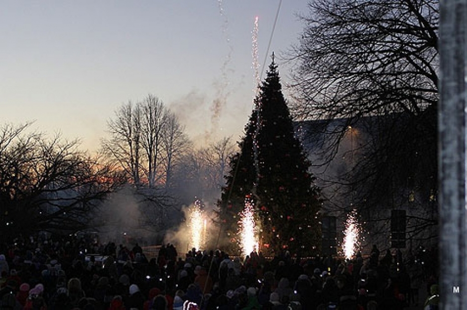 Ar koncertiem un izstādi iededz galveno egli (galerija)