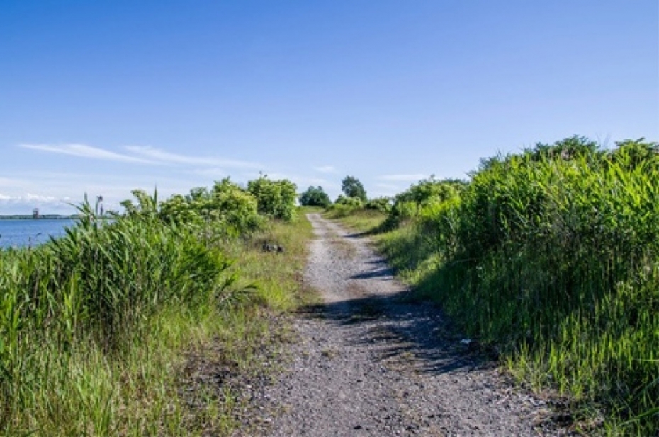Kļūst skaidrāks Zirgu salas attīstības plāns