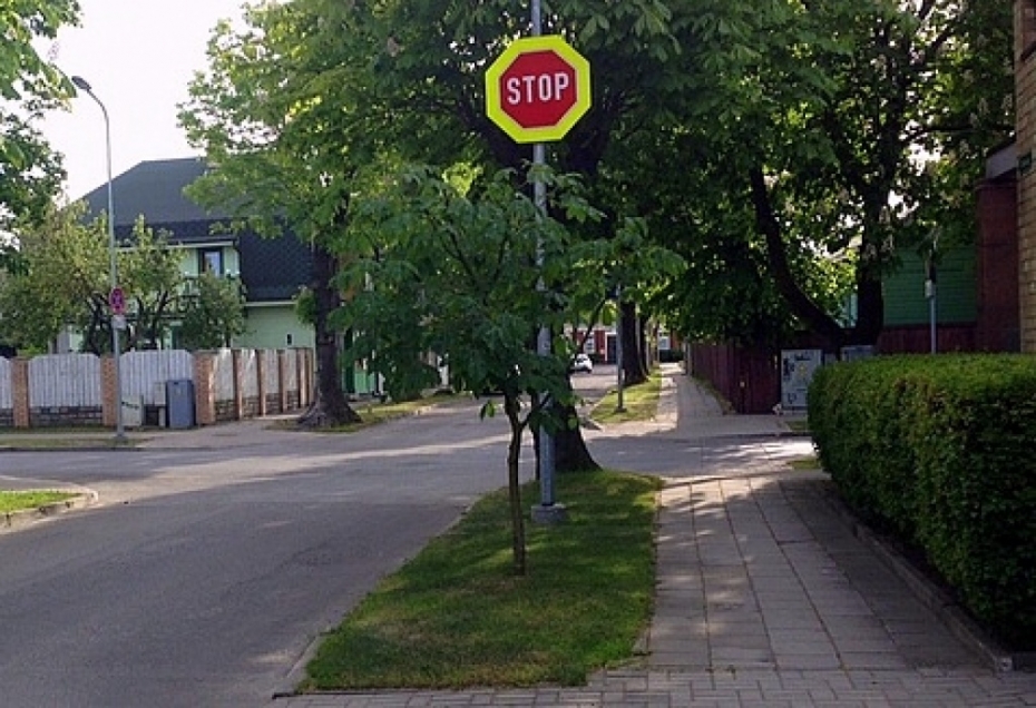Dzintaru ielā neļauj nozāģēt vairākus kokus