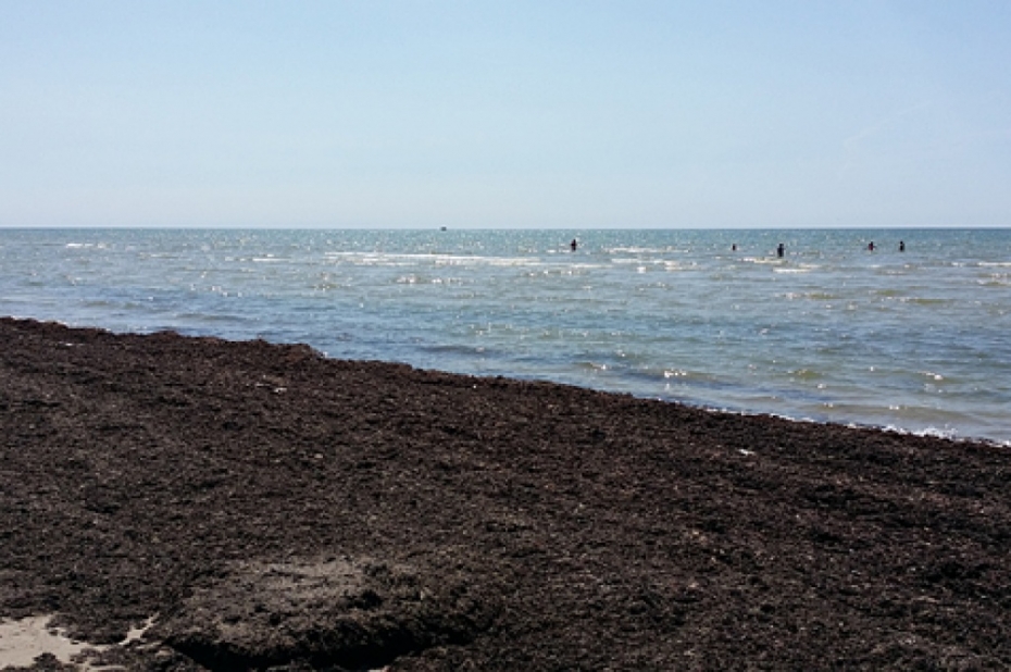 Vai tā tam ir jābūt: Zilā karoga pludmale ar jūras mēslu barjeru?