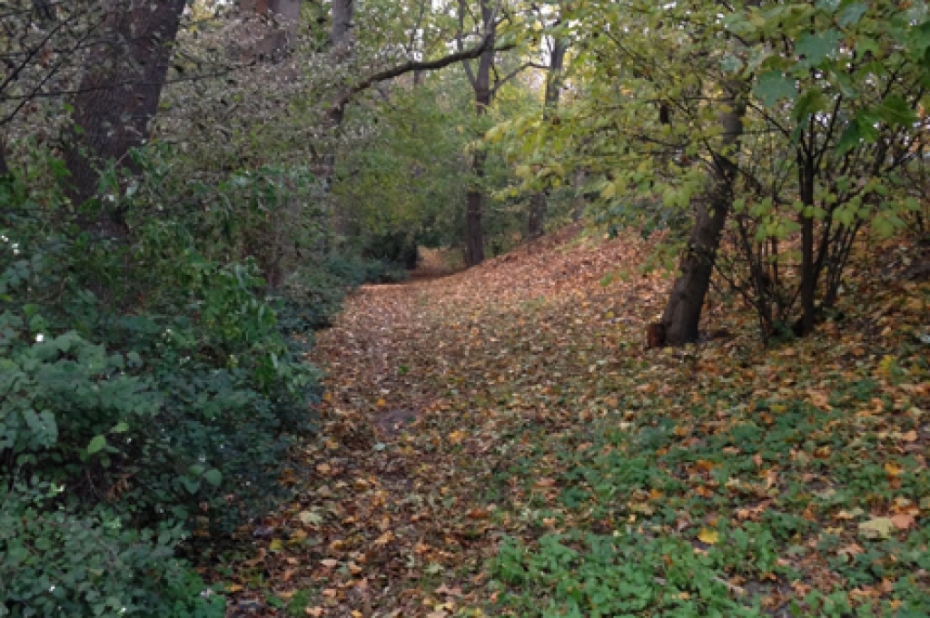 Bez lielas piepūles parks var atgūt vēsturisku taku