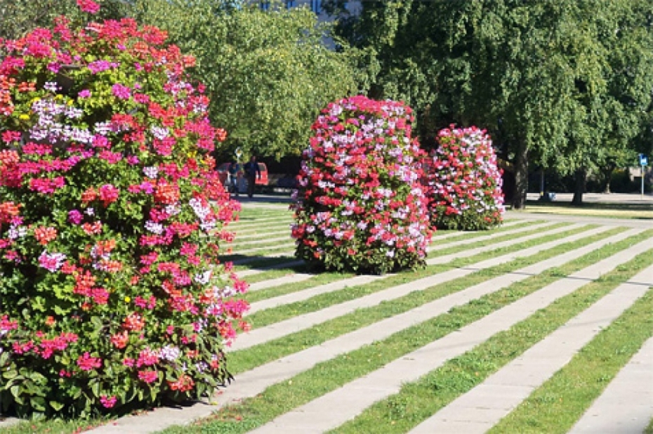 Izstrādāts plāns Liepājas apstādījumu paplašināšanai