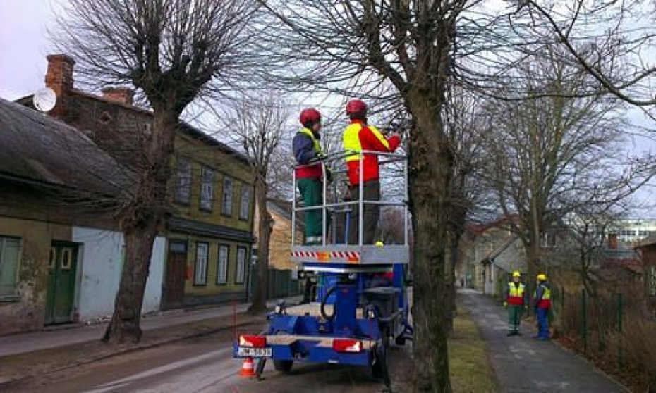 "Sadales tīkli" grib izcirst daudz koku Karostā