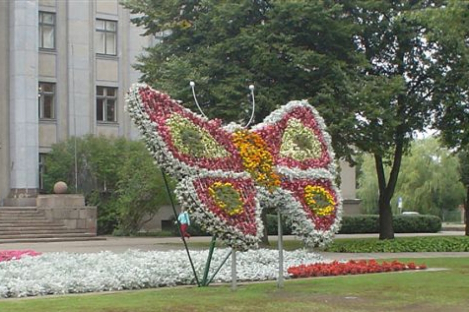 Dekoratīvos puķu traukus un dizaina objektus kops "Sedumi"